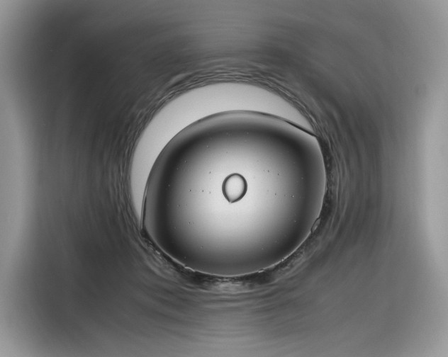 X0000116290413200912071215