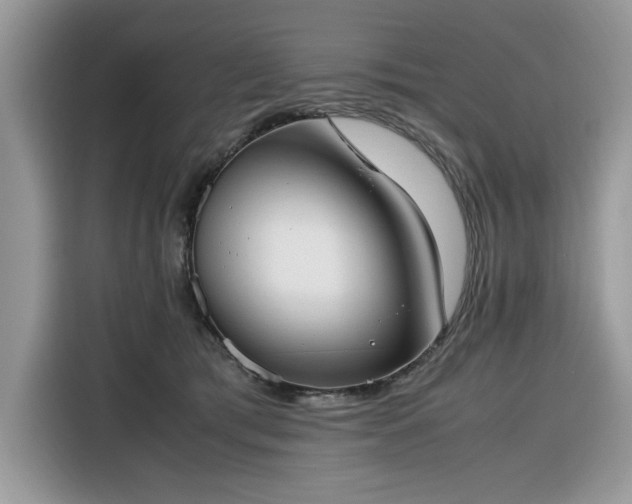 X0000116290417200912071215