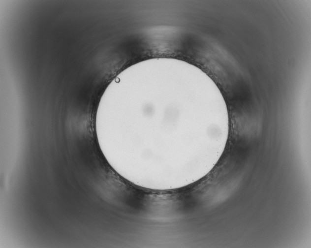 X0000116290419200912071215