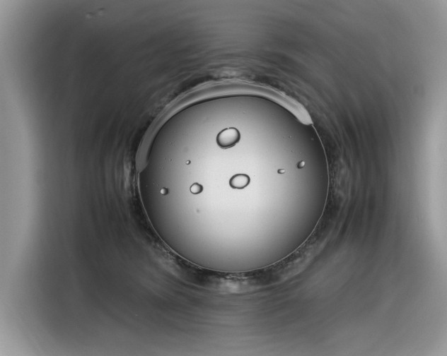 X0000116290420200912071215