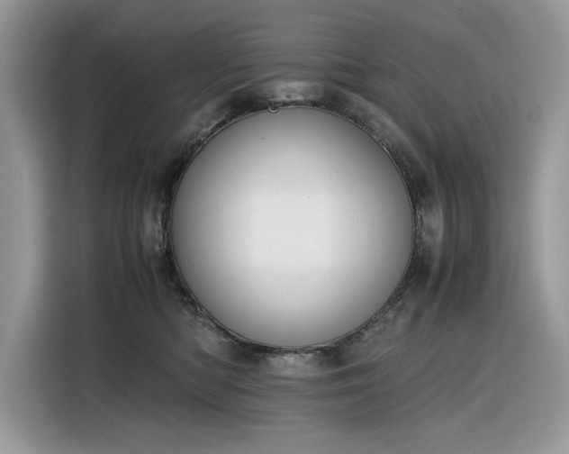 X0000116290422200912071215