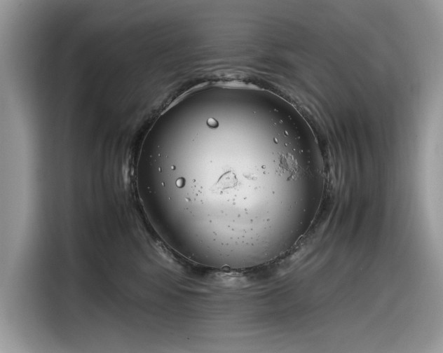 X0000116290424200912071215