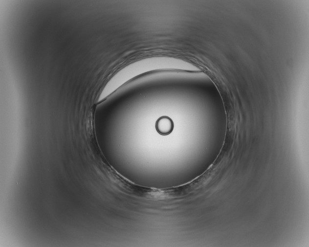 X0000116290425200912071215