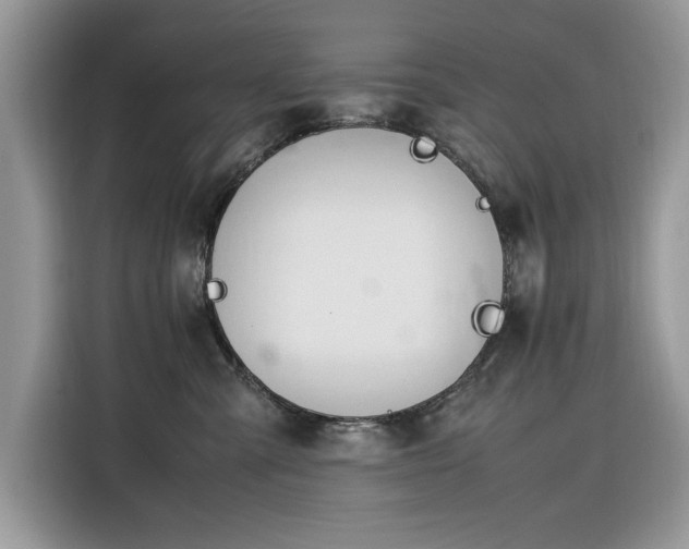 X0000116290427200912071215