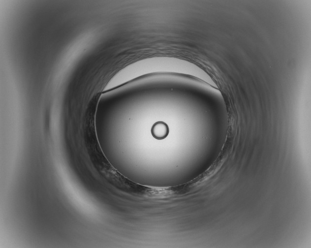 X0000116290429200912071214