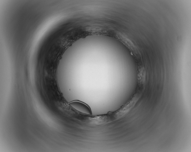 X0000116290430200912071214