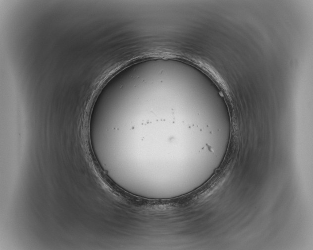 X0000116290433200912071214