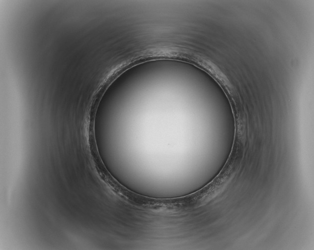 X0000116290434200912071214