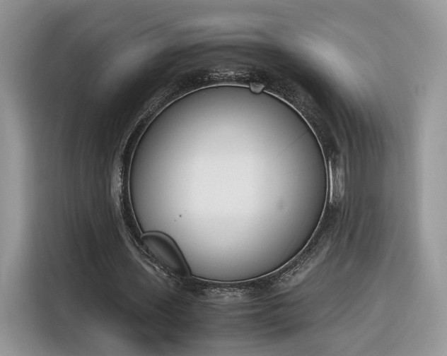 X0000116290435200912071214