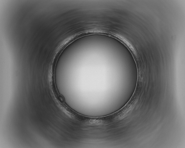 X0000116290437200912071214