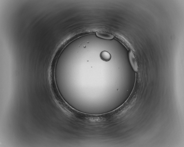 X0000116290439200912071214