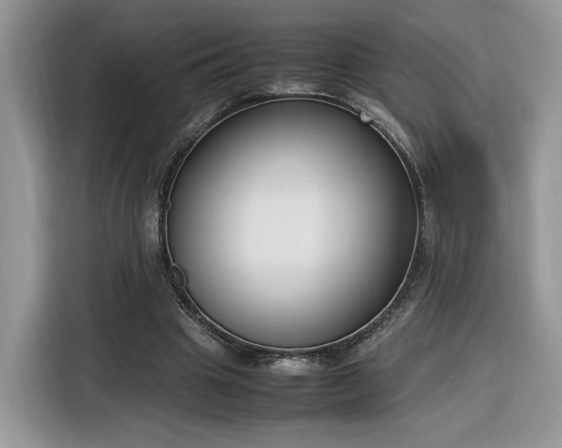 X0000116290441200912071214