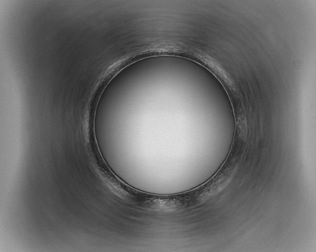 X0000116290442200912071214