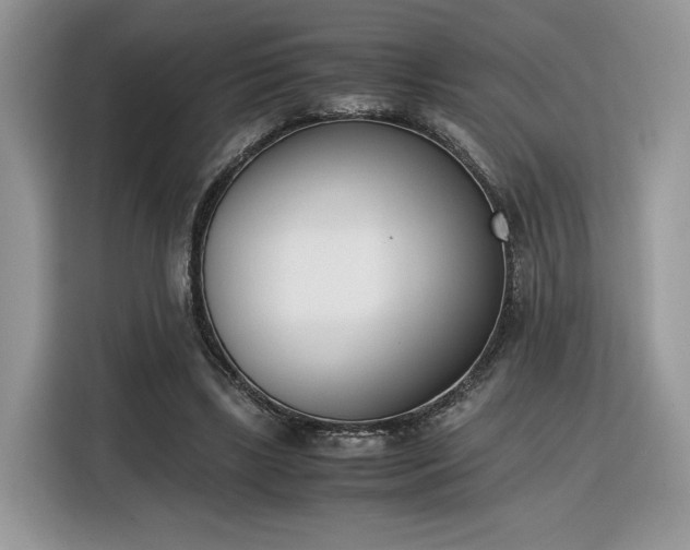 X0000116290443200912071214