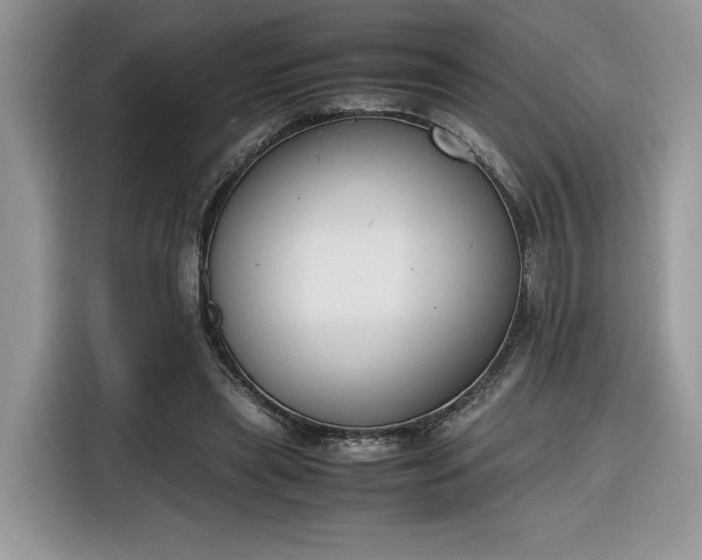 X0000116290445200912071214