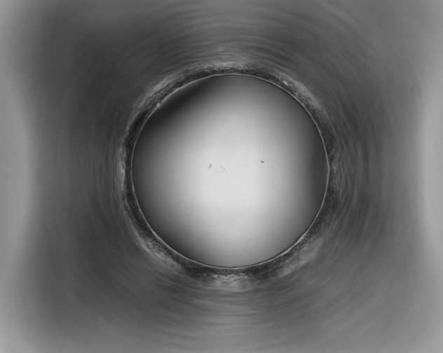 X0000116290446200912071214