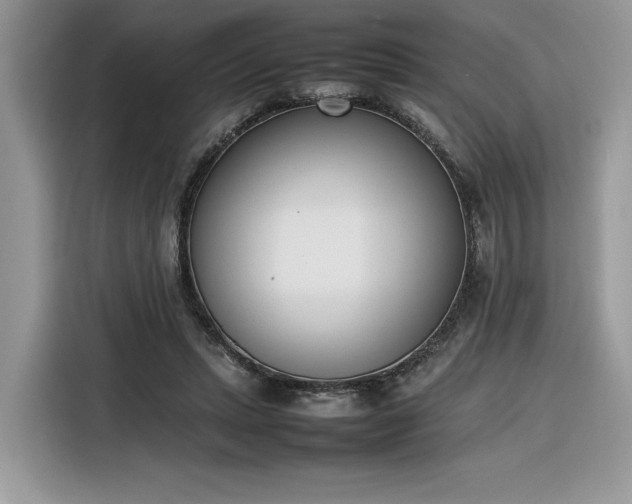 X0000116290447200912071214