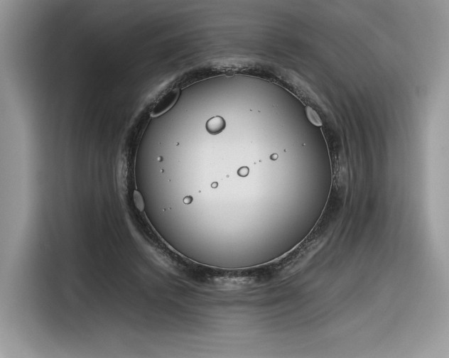 X0000116290448200912071214