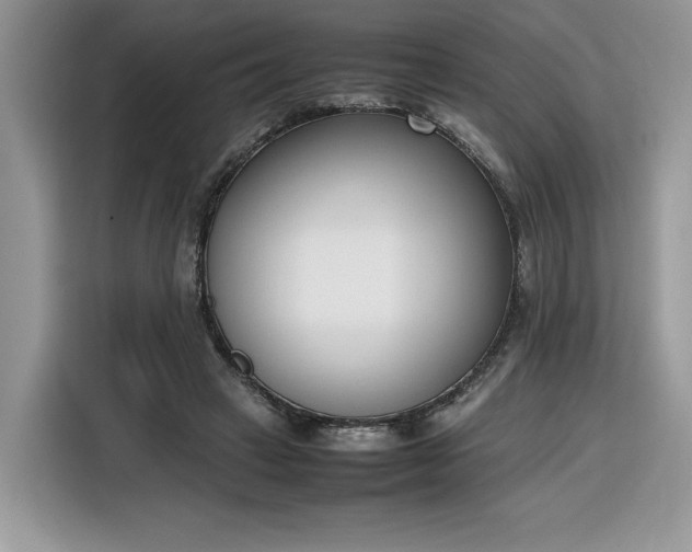 X0000116290449200912071214