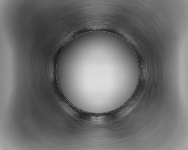 X0000116290450200912071214