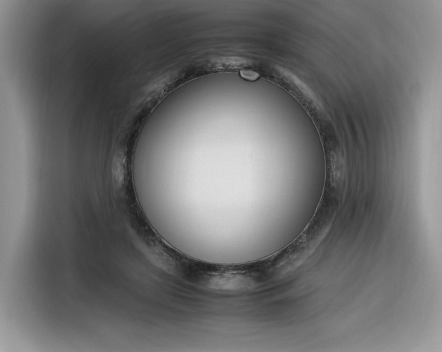 X0000116290451200912071214