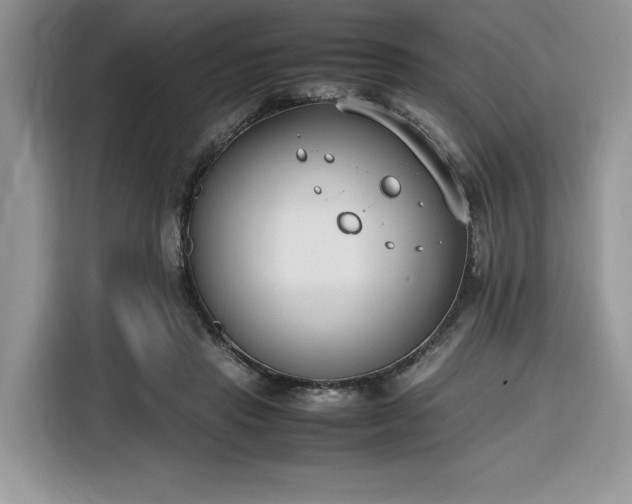 X0000116290453200912071214