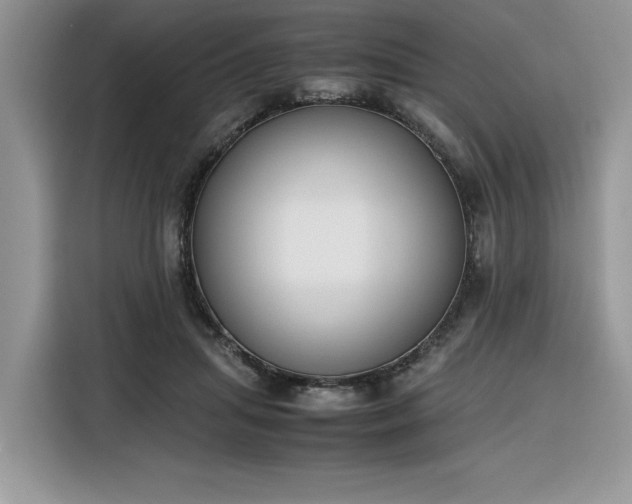 X0000116290455200912071214