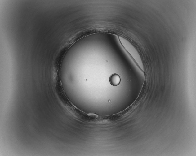 X0000116290456200912071214