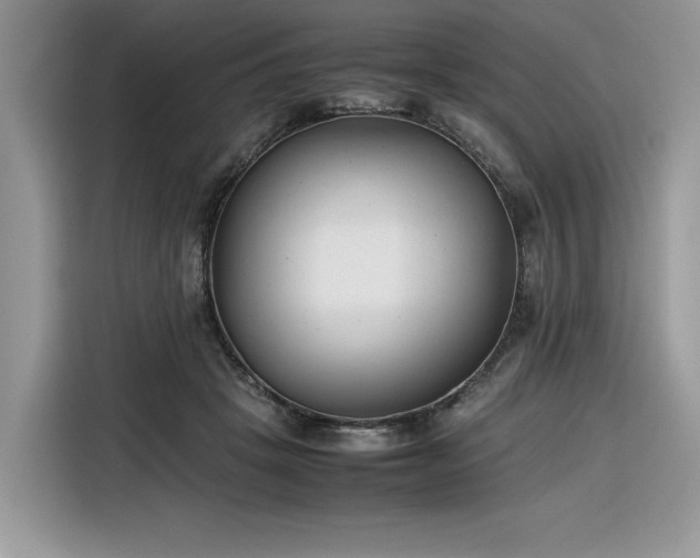 X0000116290457200912071214