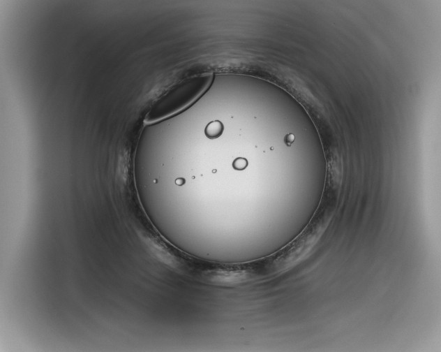 X0000116290458200912071214