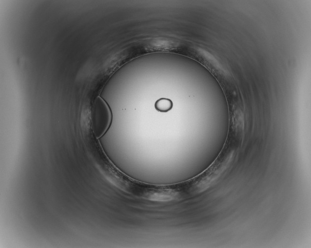 X0000116290459200912071214