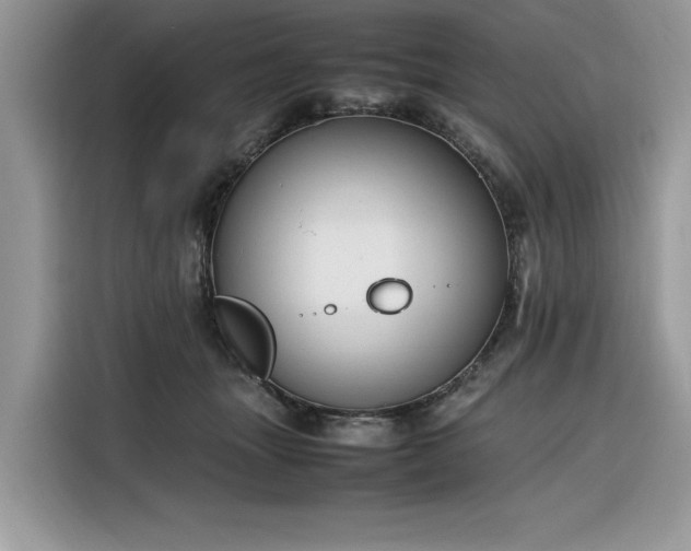 X0000116290463200912071214