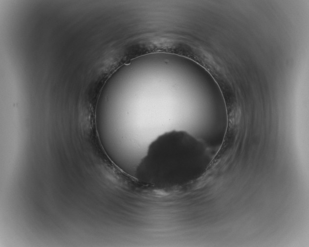 X0000116290464200912071214