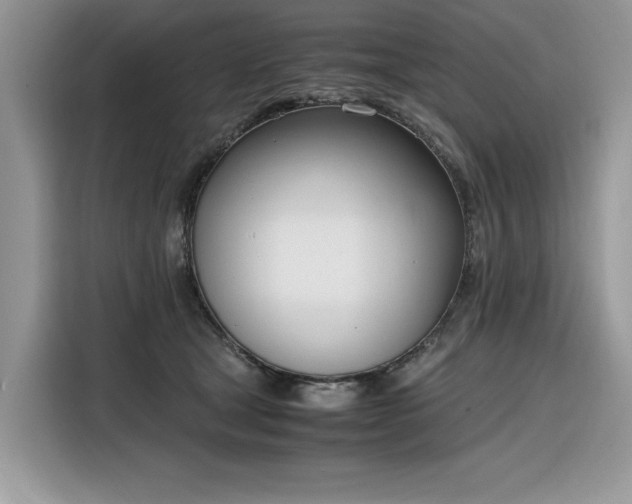 X0000116290465200912071214