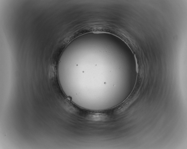 X0000116290467200912071214