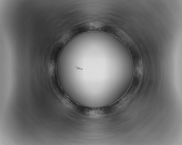 X0000116290468200912071214