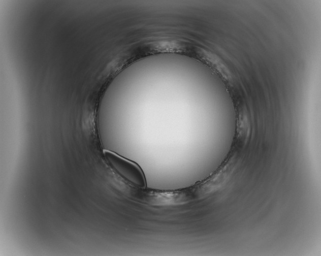 X0000116290473200912071214