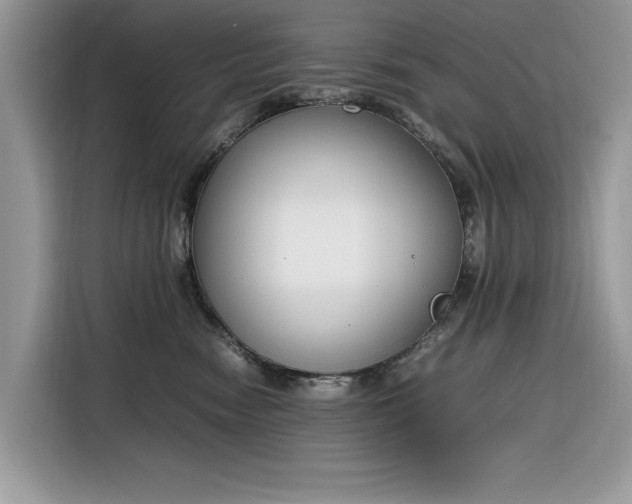 X0000116290474200912071214