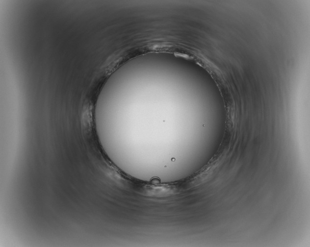 X0000116290475200912071214