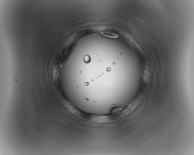 X0000116290476200912071214