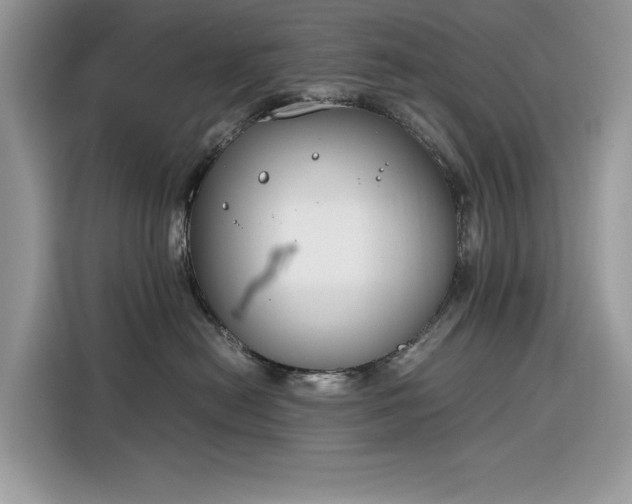 X0000116290478200912071214