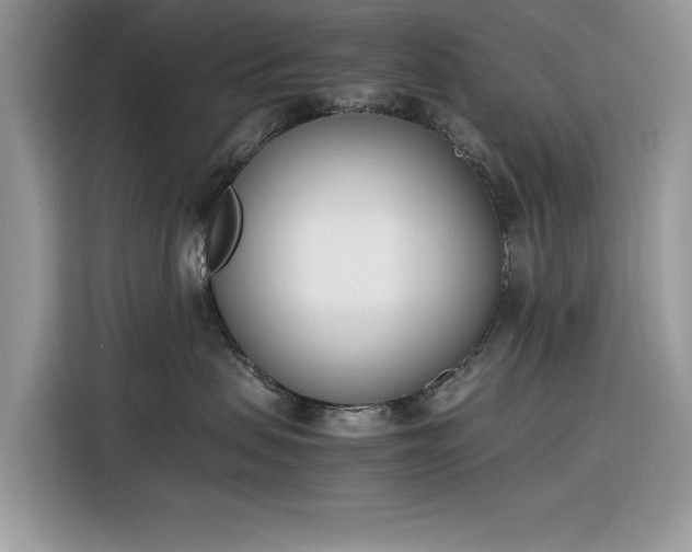 X0000116290479200912071214