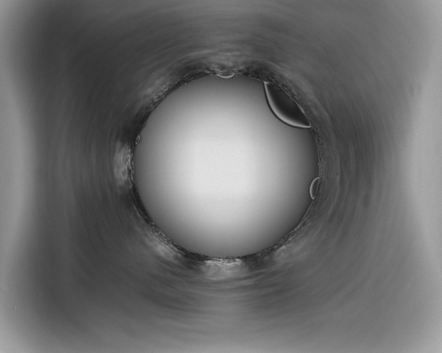 X0000116290480200912071214