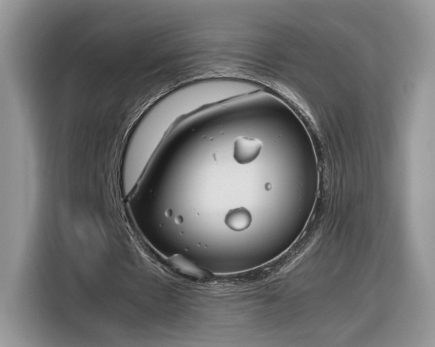 X0000116290481200912071214