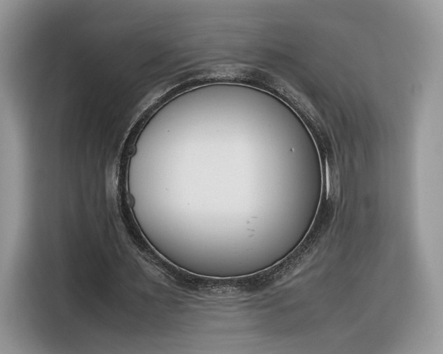 X0000116290483200912071214