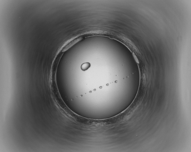 X0000116290484200912071214