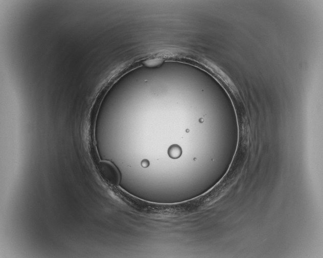 X0000116290485200912071214