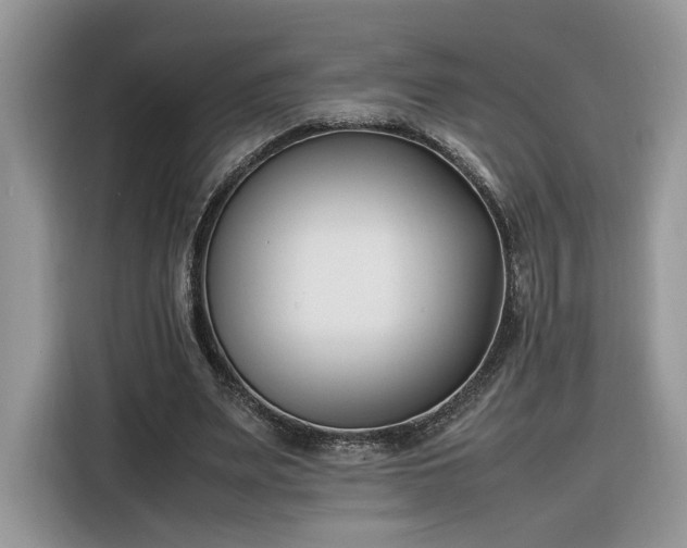 X0000116290487200912071214