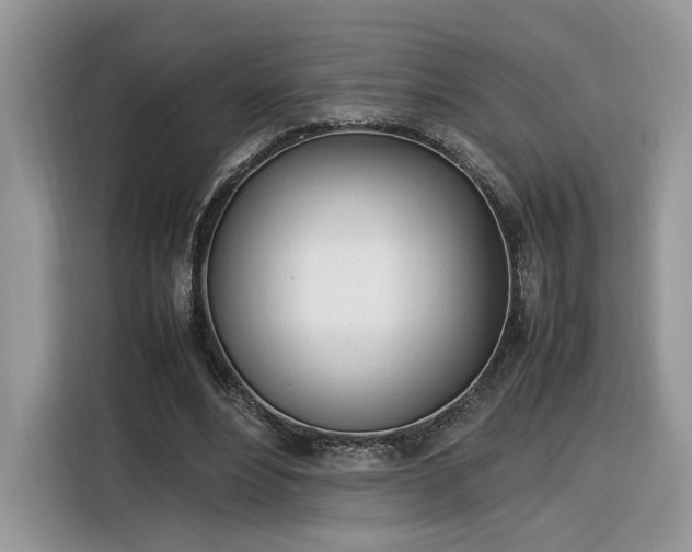 X0000116290488200912071214