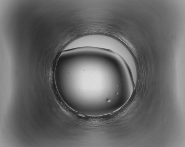 X0000116290489200912071214